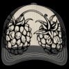 Tri Tone Mesh Back Cap Thumbnail