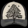 Tri Tone Mesh Back Cap Thumbnail