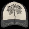 Tri Tone Mesh Back Cap Thumbnail