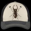 Tri Tone Mesh Back Cap Thumbnail