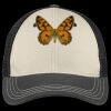 Tri Tone Mesh Back Cap Thumbnail